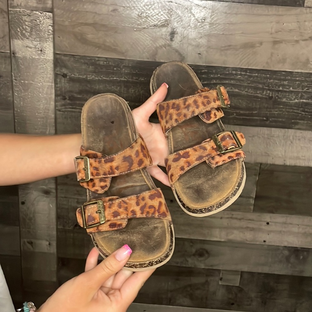 cheetah slides
